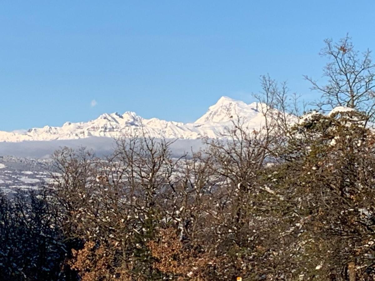 Le Camelia Daire Tallard Dış mekan fotoğraf